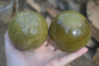 Polished Green Opal Spheres  x 2 From Antsirabe, Madagascar