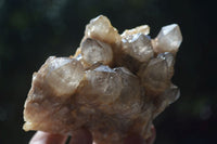 Natural Cascading White Phantom Smokey Quartz Clusters  x 4 From Luena, Congo - Toprock Gemstones and Minerals 