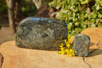 Polished Labradorite Standing Free Forms With Intense Blue Flash  x 2 From Madagascar - TopRock