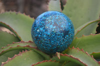 Polished  Conglomerate Chrysocolla Sphere With Azurite & Malachite  x 1 From Congo