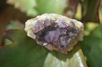 Natural Mini Dark Purple Amethyst Specimens  x 70 From Zambia - Toprock Gemstones and Minerals 