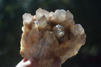 Natural Cascading White Phantom Smokey Quartz Clusters  x 4 From Luena, Congo - Toprock Gemstones and Minerals 