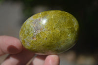 Polished Green Opal Palm Stones  x 12 From Antsirabe, Madagascar - Toprock Gemstones and Minerals 