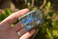 Polished Labradorite Standing Free Forms With Intense Blue Flash  x 2 From Madagascar - TopRock