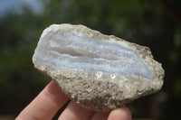 Natural Blue Lace Agate Geode Specimens  x 12 From Malawi - TopRock