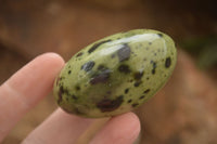 Polished Spotted Leopard Stone Gallets  x 12 From Zimbabwe