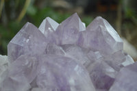 Natural Large Jacaranda Amethyst Crystal Cluster  x 1 From Mumbwa, Zambia - Toprock Gemstones and Minerals 