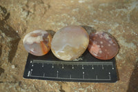 Polished Mini Ocean  Flower Agate Palm Stones  x 70 From Madagascar