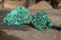 Natural Chatoyant Silky Malachite Specimens  x 7 From Kasompe, Congo