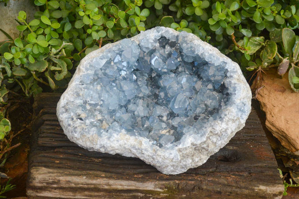 Natural Extra Large Blue Celestite Geode Specimen  x 1 From Sakoany, Madagascar