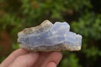 Natural Blue Lace Agate Geode Specimens  x 12 From Malawi - TopRock