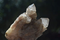 Natural Cascading White Phantom Smokey Quartz Clusters  x 4 From Luena, Congo - Toprock Gemstones and Minerals 