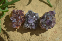 Natural Mini Dark Purple Amethyst Specimens  x 70 From Zambia - Toprock Gemstones and Minerals 