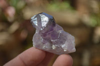 Natural Skeletal Smokey Amethyst Crystals  x 12 From Chiredzi, Zimbabwe