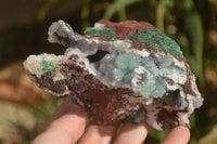 Natural Drusy Coated Ball Malachite On Dolomite Matrix Specimens  x 2 From Likasi, Congo