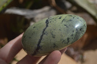 Polished Leopard Stone Gallets  x 6 From Nyanga & Shamva, Zimbabwe - Toprock Gemstones and Minerals 