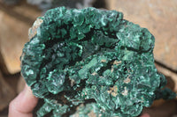 Natural Silky Malachite Specimen  x 1 From Kasompe, Congo