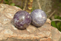 Polished Purple Lepidolite Mica Spheres  x 6 From Madagascar - TopRock