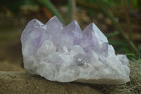 Natural Large Jacaranda Amethyst Crystal Cluster  x 1 From Mumbwa, Zambia - Toprock Gemstones and Minerals 