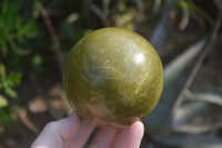 Polished Green Opal Spheres  x 2 From Antsirabe, Madagascar