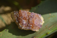 Natural Mini Dark Purple Amethyst Specimens  x 70 From Zambia - Toprock Gemstones and Minerals 