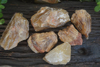 Natural Honey Aragonite Etched & Cobbed Pieces  x 6 From Namibia - Toprock Gemstones and Minerals 