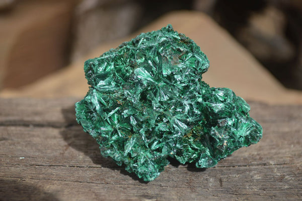 Natural Chatoyant Silky Malachite Specimens  x 7 From Kasompe, Congo