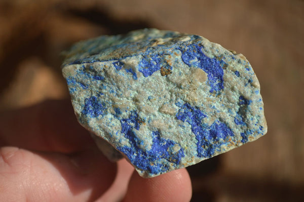 Natural Azurite & Malachite On Dolomite Specimens  x 24 From Kaokoveld, Namibia - Toprock Gemstones and Minerals 