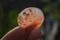 Polished Mini Ocean  Flower Agate Palm Stones  x 70 From Madagascar