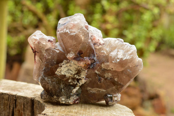 Natural Multi Terminated Smokey Quartz Floater Crystal Specimen  x 1 From Mt. Mulanje, Malawi - TopRock