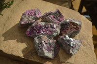 Natural Pink Salrose Cobaltion Dolomite Specimens x 6 From Kakanda, Congo