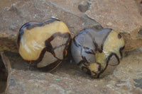 Polished Septerye (Calcite & Aragonite) Hearts x 6 From Mahajanga, Madagascar