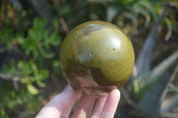 Polished Green Opal Spheres  x 2 From Antsirabe, Madagascar