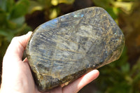 Polished Labradorite Standing Free Forms With Intense Blue Flash  x 2 From Madagascar - TopRock