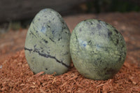 Polished Leopard Stone Gallets  x 6 From Nyanga & Shamva, Zimbabwe - Toprock Gemstones and Minerals 