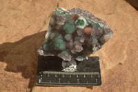 Natural Drusy Coated Ball Malachite On Dolomite Matrix Specimens  x 2 From Likasi, Congo