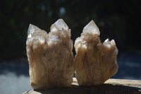 Natural Cascading White Phantom Smokey Quartz Clusters  x 4 From Luena, Congo - Toprock Gemstones and Minerals 