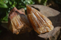 Natural Honey Aragonite Etched & Cobbed Pieces  x 6 From Namibia - Toprock Gemstones and Minerals 