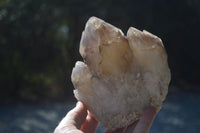 Natural Red Hematoid Quartz Specimens  x 2 From Karoi, Zimbabwe - Toprock Gemstones and Minerals 