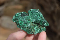 Natural Chatoyant Silky Malachite Specimens  x 7 From Kasompe, Congo