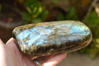 Polished Labradorite Standing Free Forms With Intense Blue Flash  x 2 From Madagascar - TopRock