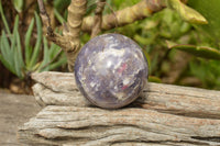 Polished Purple Lepidolite Mica Spheres  x 6 From Madagascar - TopRock