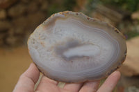 Polished Highly Selected Agate Slices With Stunning Patterns  x 6 From Madagascar