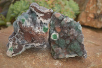 Natural Drusy Coated Ball Malachite On Dolomite Matrix Specimens  x 2 From Likasi, Congo