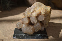 Natural Cascading White Phantom Smokey Quartz Clusters  x 4 From Luena, Congo - Toprock Gemstones and Minerals 