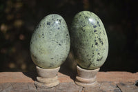 Polished Leopard Stone Gallets  x 6 From Nyanga & Shamva, Zimbabwe - Toprock Gemstones and Minerals 