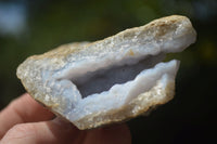 Natural Blue Lace Agate Geode Specimens  x 12 From Malawi - TopRock