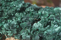 Natural Silky Malachite Specimen  x 1 From Kasompe, Congo