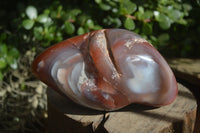 Polished Extra Large Strawberry Agate Free Forms  x 2 From KZN, South Africa