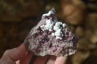 Natural Pink Salrose Cobaltion Dolomite Specimens x 6 From Kakanda, Congo